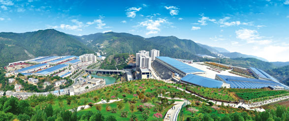 ��˾����